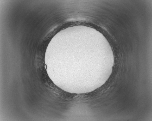 X0000062150967200512301549