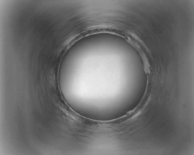 X0000062150969200512301549