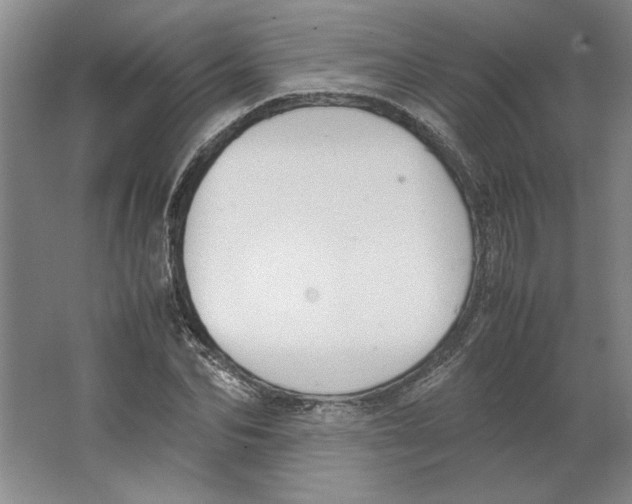 X0000062150974200512301549