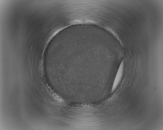 X0000062150975200512301549