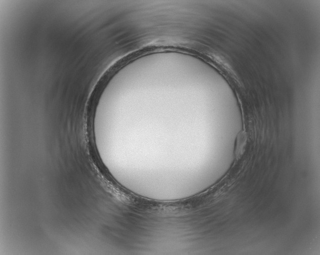 X0000062150976200512301549