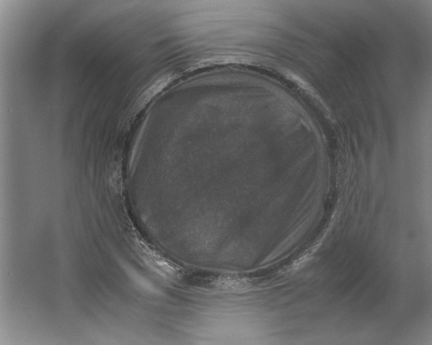 X0000062150977200512301549
