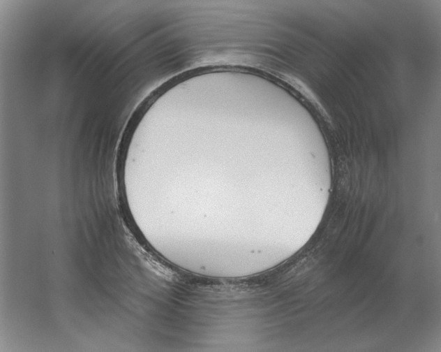X0000062150980200512301549