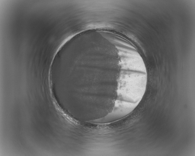 X0000062150983200512301549