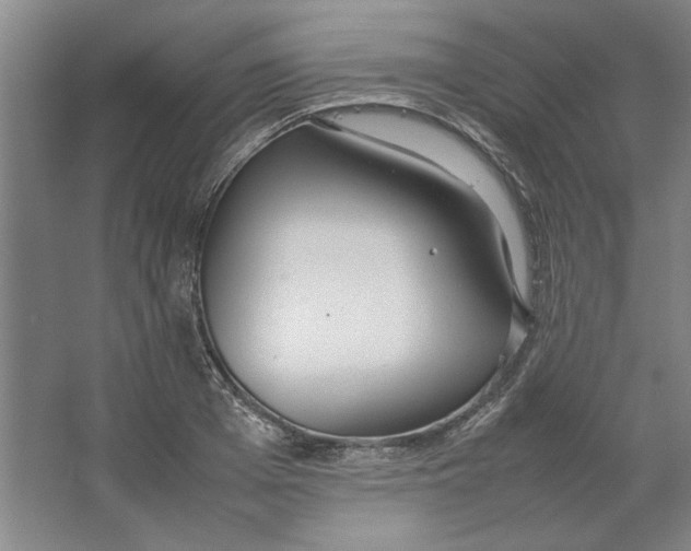 X0000062150985200512301549