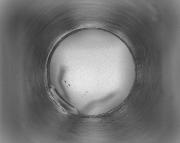 X0000062150996200512301548