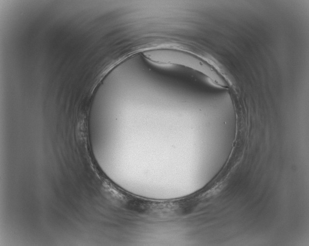 X0000062151001200512301548