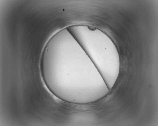 X0000062151007200512301548