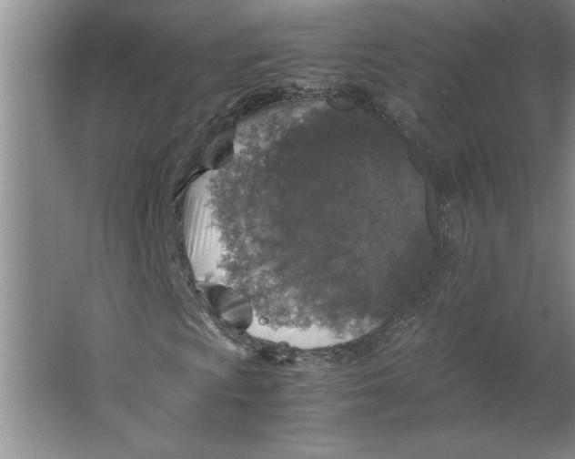 X0000062151009200512301547