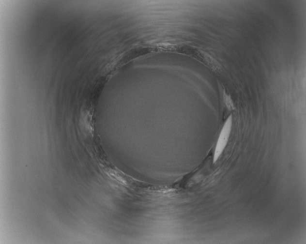 X0000062151010200512301547