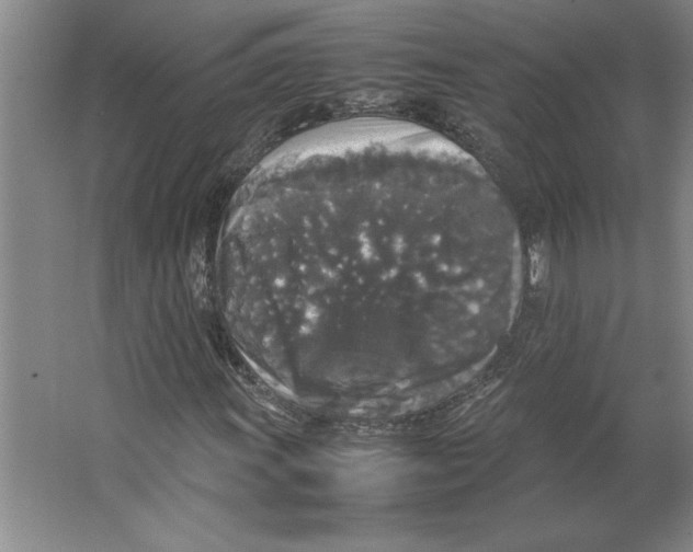 X0000062151011200512301547
