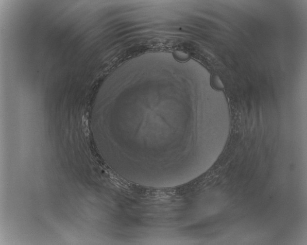 X0000062151013200512301547