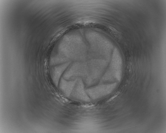 X0000062151014200512301547