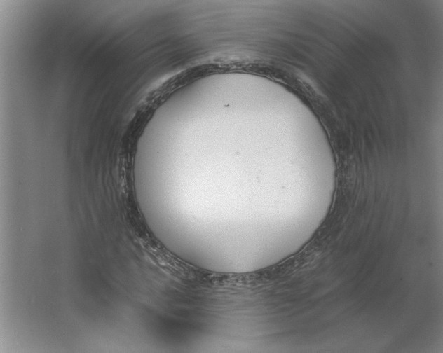 X0000062151016200512301547
