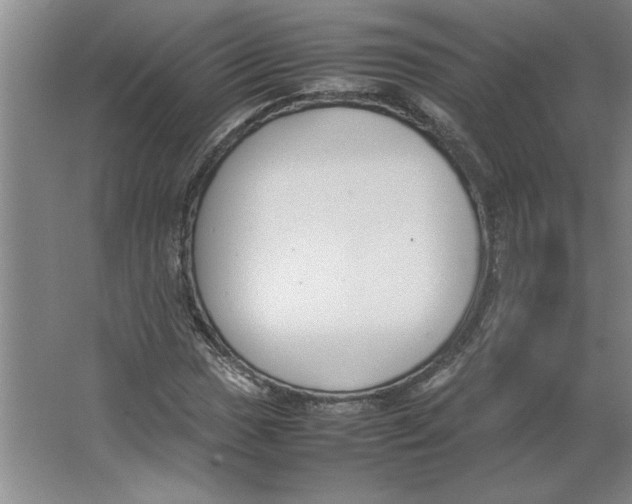 X0000062151017200512301547