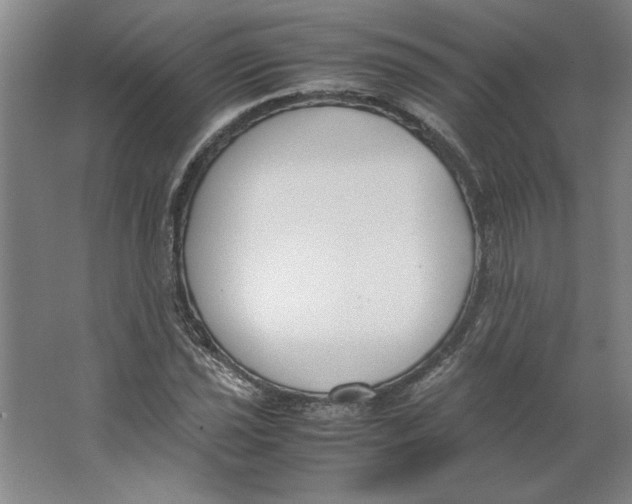 X0000062151021200512301548