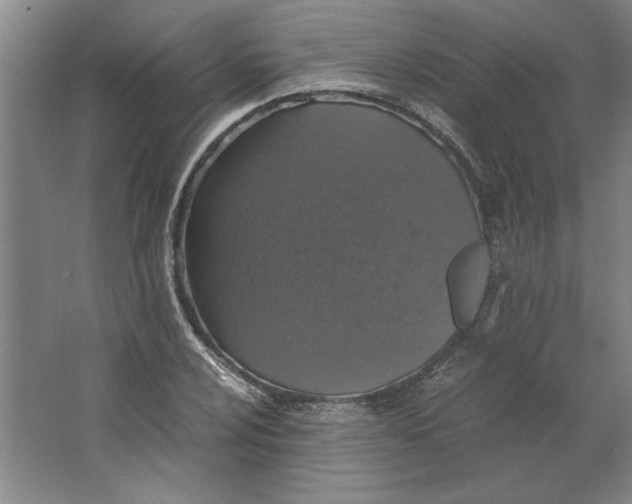X0000062151024200512301548