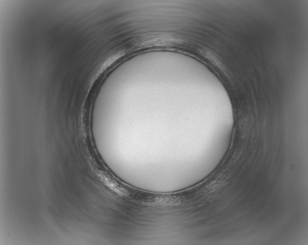 X0000062151026200512301548