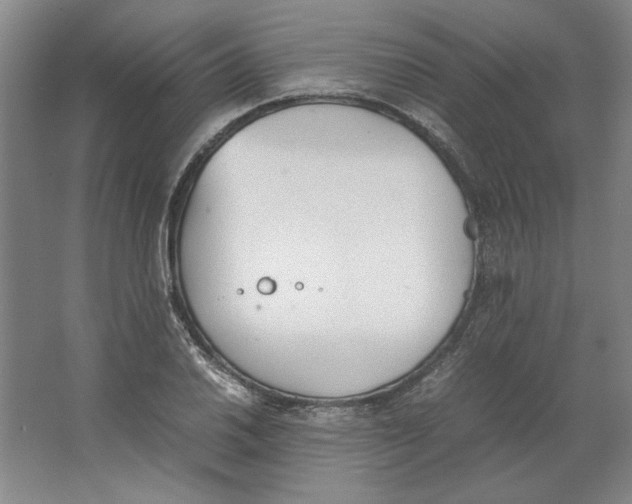 X0000062151030200512301548