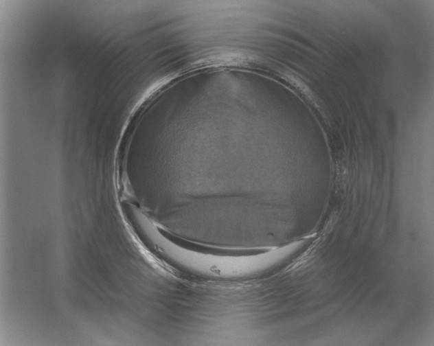 X0000062151034200512301548