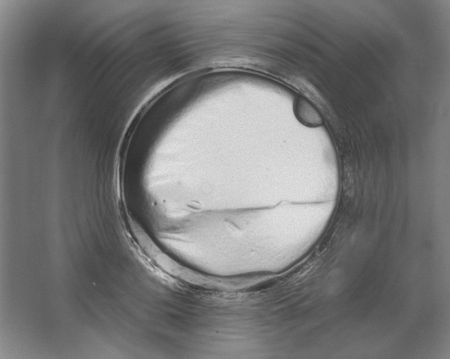 X0000062151036200512301548