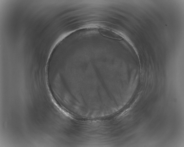 X0000062151045200512301548