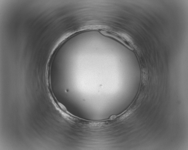 X0000062151046200512301548