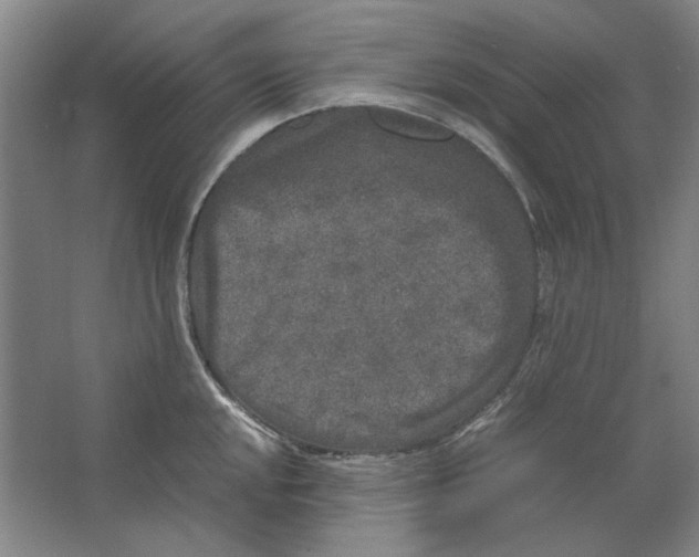 X0000062151048200512301548