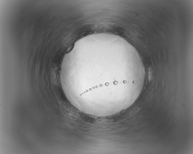 X0000062151059200512301547