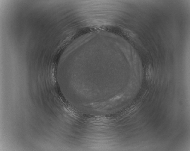 X0000062151060200512301547