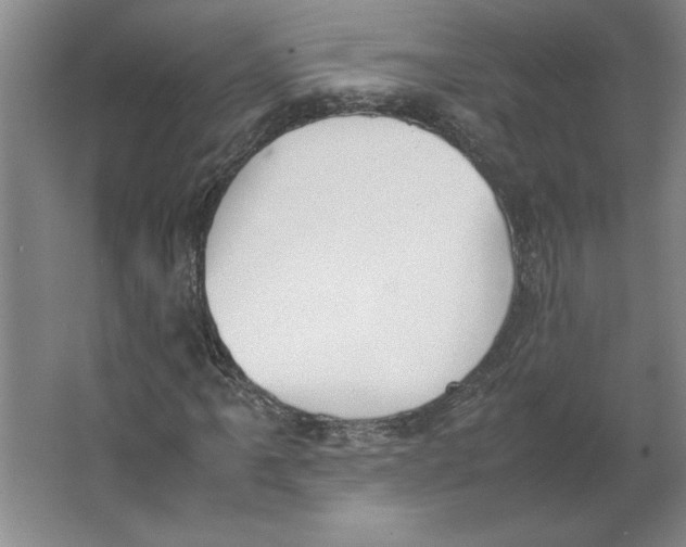 X0000062151061200512301547