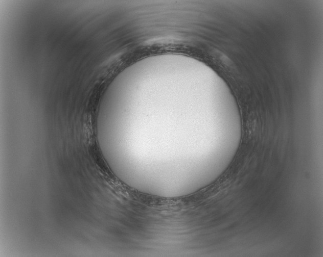 X0000062151062200512301547