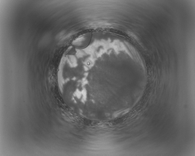 X0000062151063200512301547