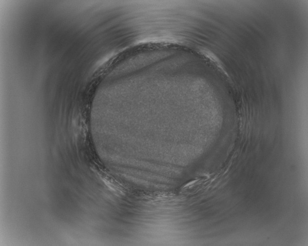 X0000062151064200512301547