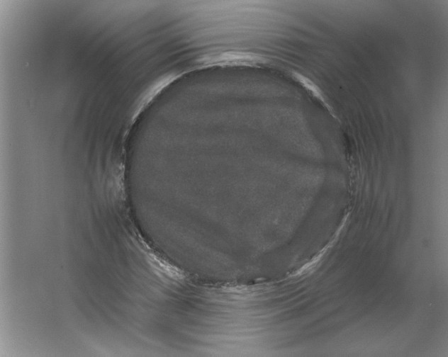 X0000062151066200512301547