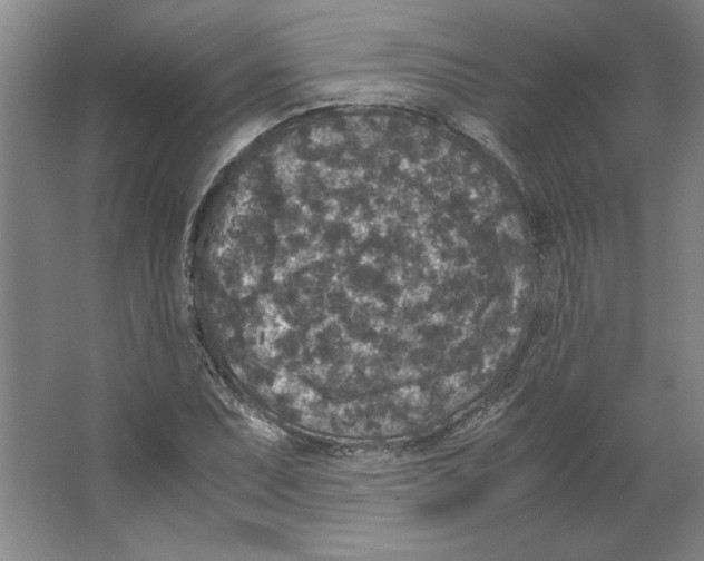 X0000062151071200512301547