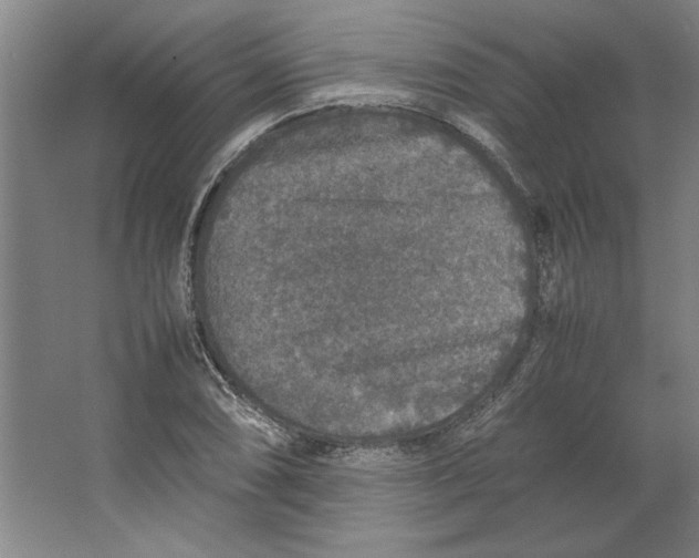 X0000062151074200512301547