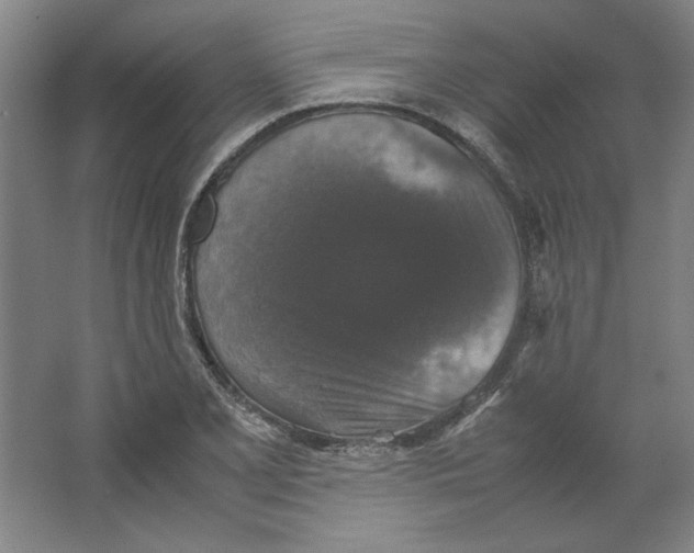 X0000062151077200512301547
