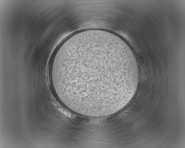 X0000062151078200512301547