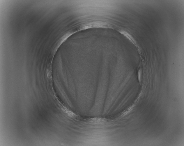 X0000062151081200512301547