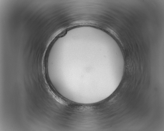 X0000062151082200512301547
