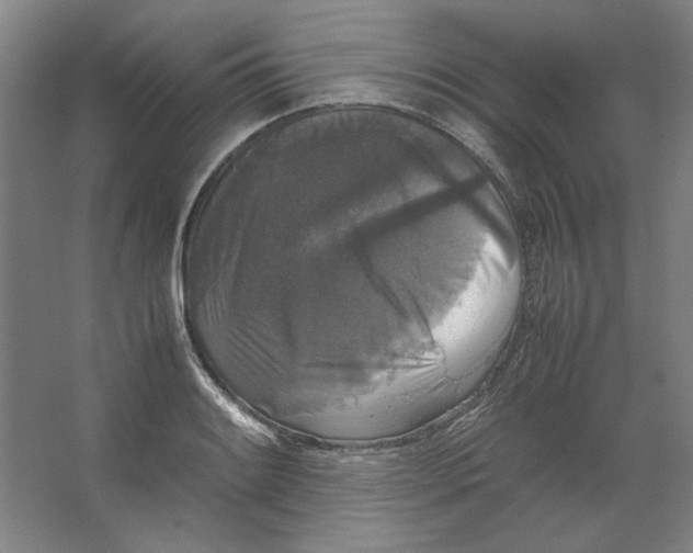 X0000062151084200512301547