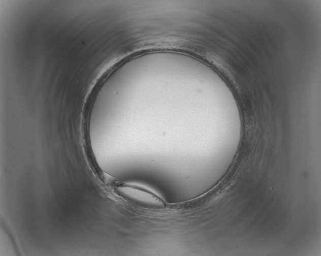 X0000062151085200512301547