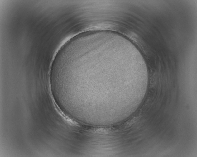 X0000062151086200512301547
