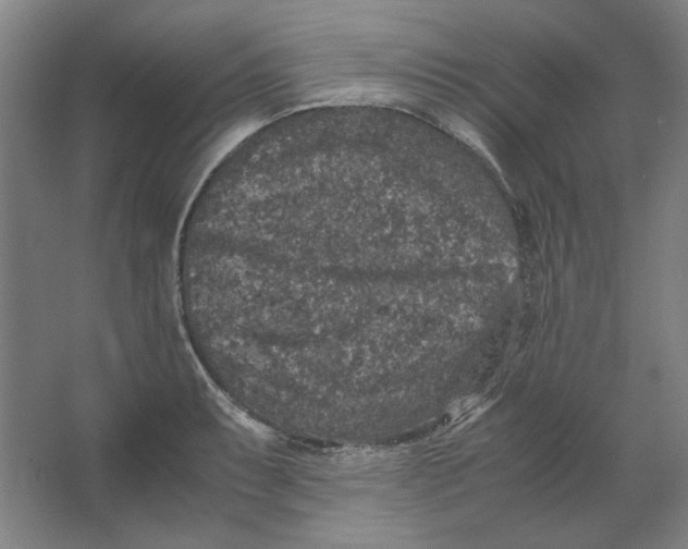 X0000062151087200512301547