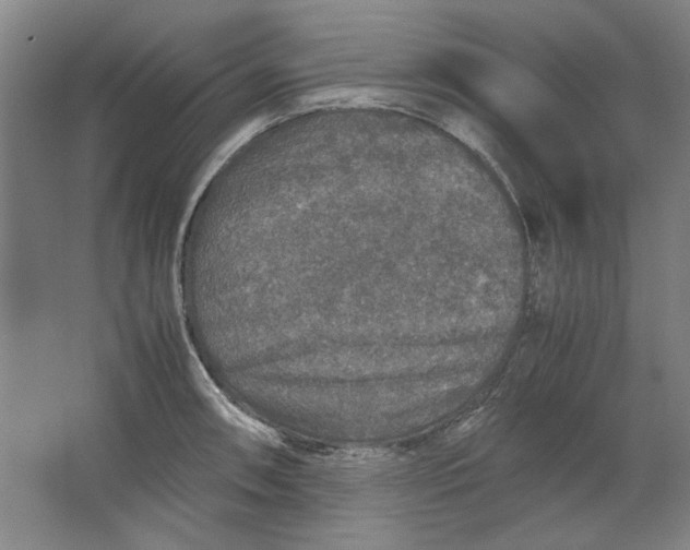 X0000062151090200512301547