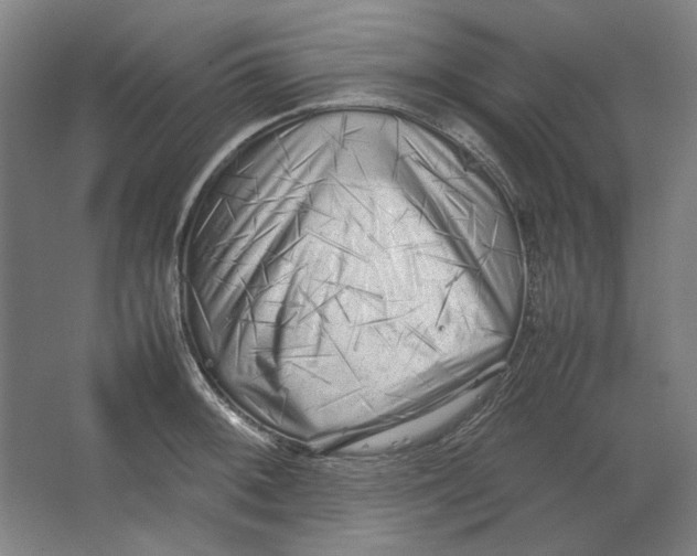 X0000062151092200512301547