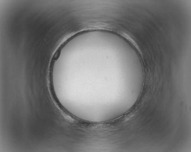 X0000062151093200512301547