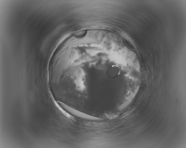 X0000062151095200512301547