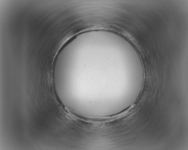 X0000062151097200512301547